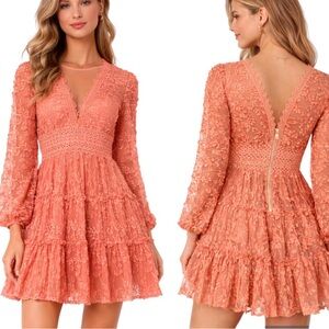 Beulah Lace Embroidered Mini Dress